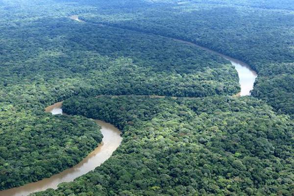 Déforestation 