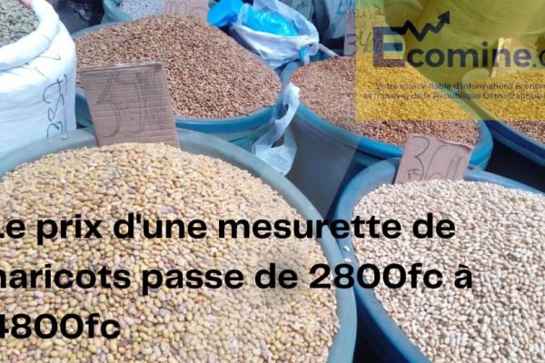 Mesurette Haricots 